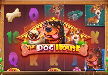 Игра The Dog House в казино Вай